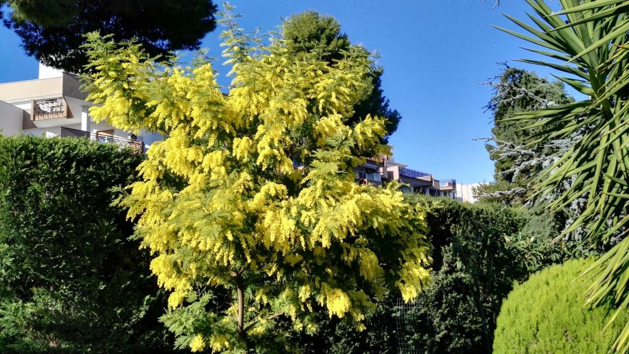 Villa Mary Trani Εξωτερικό φωτογραφία