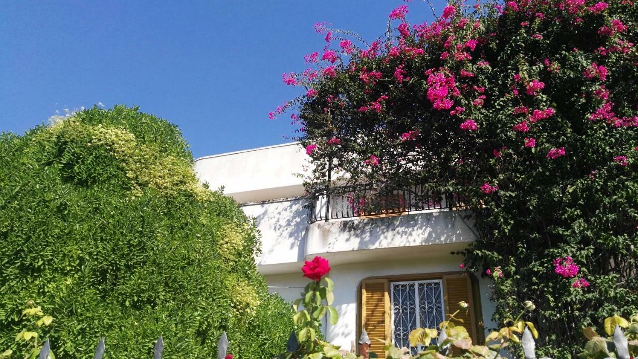 Villa Mary Trani Εξωτερικό φωτογραφία